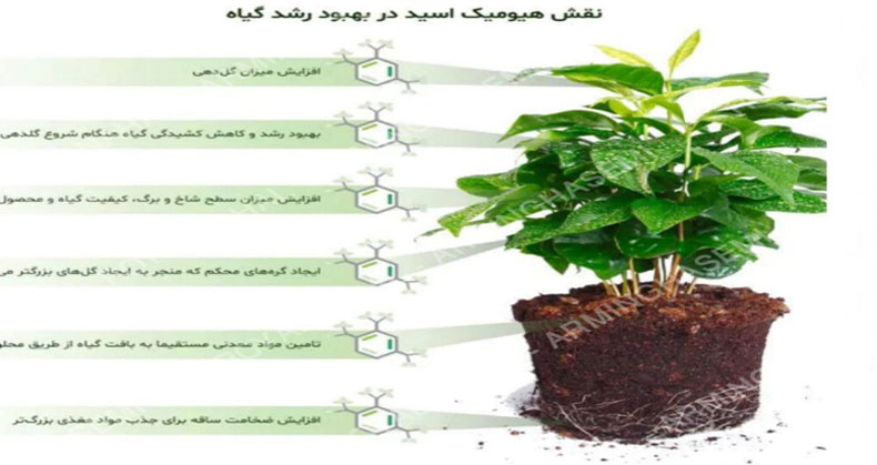 کود ارگانیک ،گرین رویال برای رشد فوق العاده نهال ها