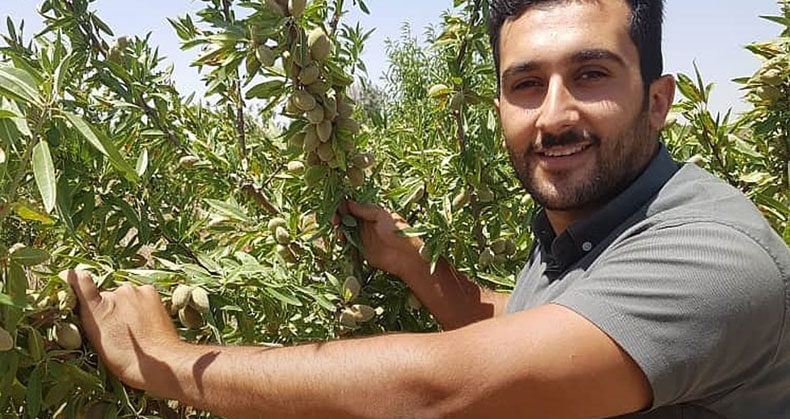 نشانه های نهال سالم هنگام خرید و نکات تشخیص سریع