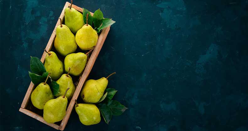 روش های کاشت و پرورش نهال گلابی درگزی