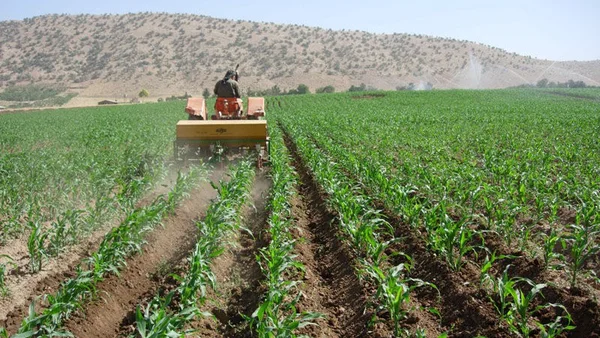 ۸ نشانه که می‌گوید باغ شما برای احداث یک باغ اقتصادی مناسب نیست