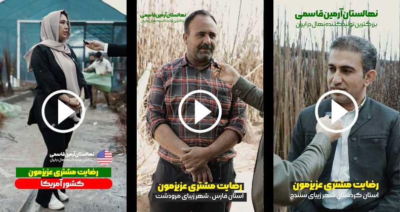 نظرات خریداران نهال از نهالستان رویال نهال