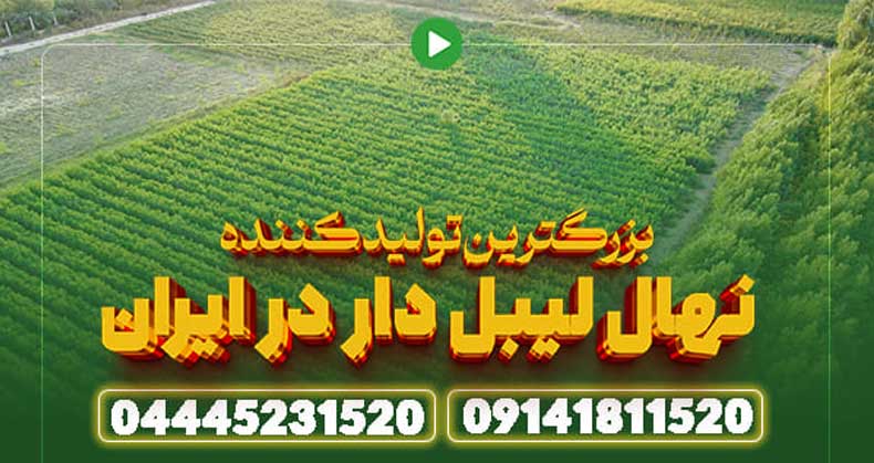 پیش فروش نهال به چه معناست؟