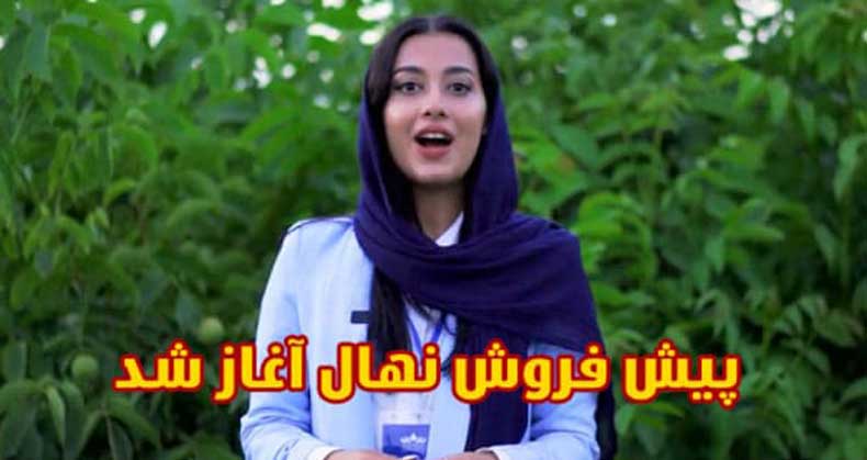 پیش فروش نهال به چه معناست؟