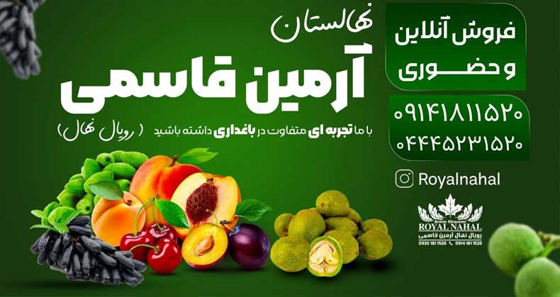 نحوه سفارش نهال برای خریداران خارج کشور