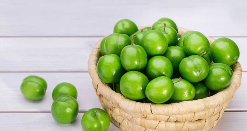 قیمت نهال گوجه سبز در سال 1404
