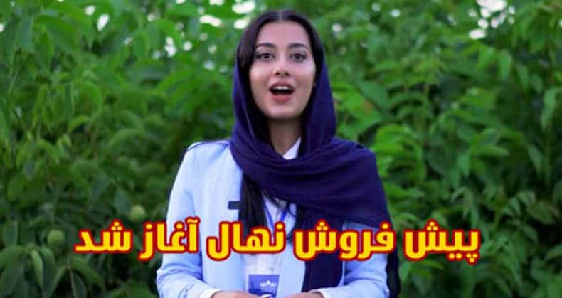 پیش ‌فروش نهال در سال ۱۴۰۴