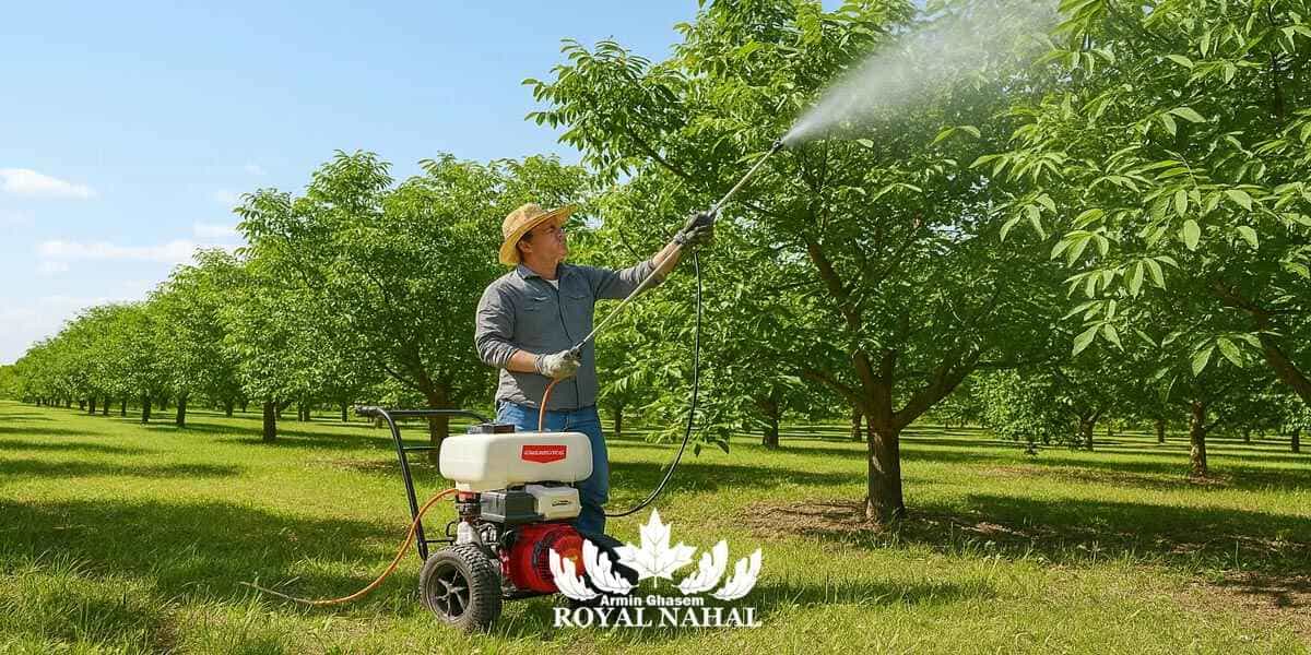 مبارزه شیمیایی شته درخت گردو