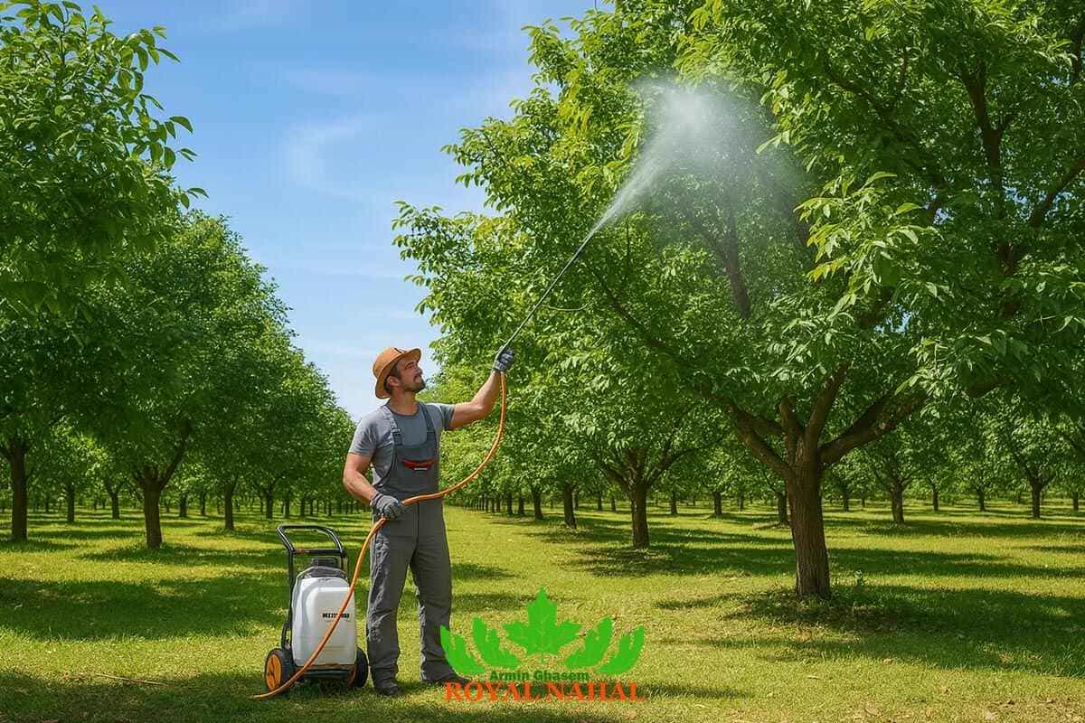 مبارزه با آفات شایع درختان گردو