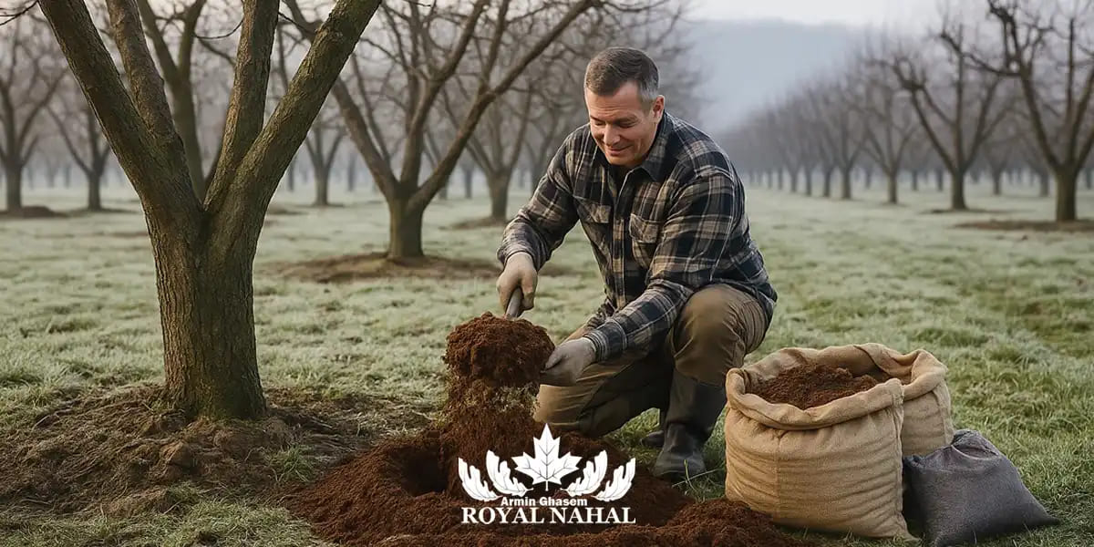 کودهای آی و ارگانیک در زمستانه