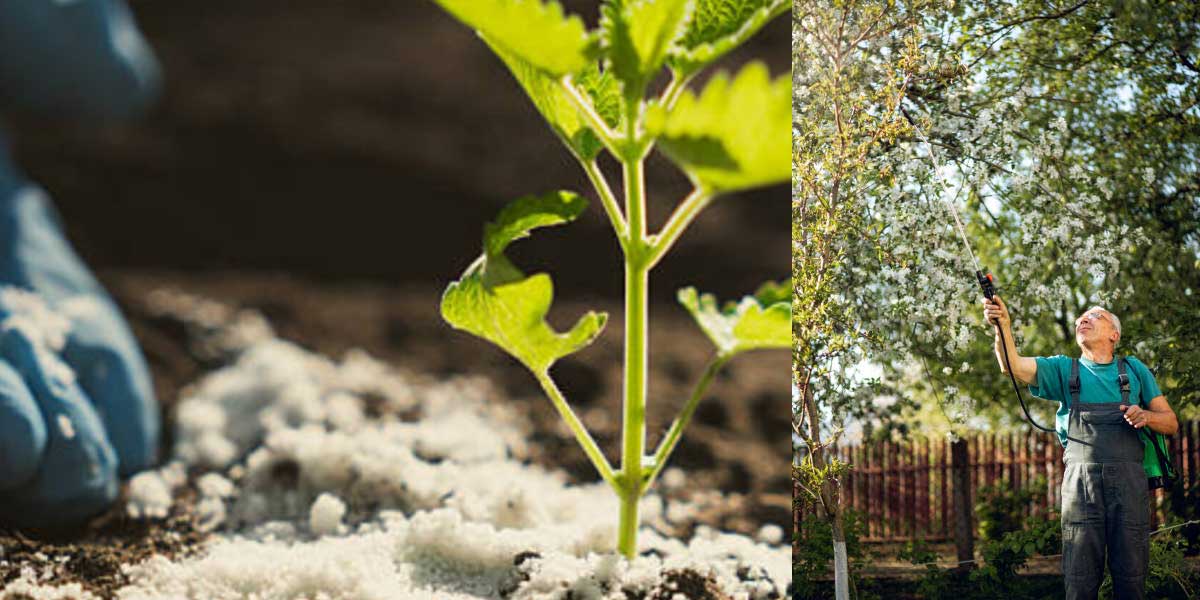 تقویم باغداری ماه به ماه