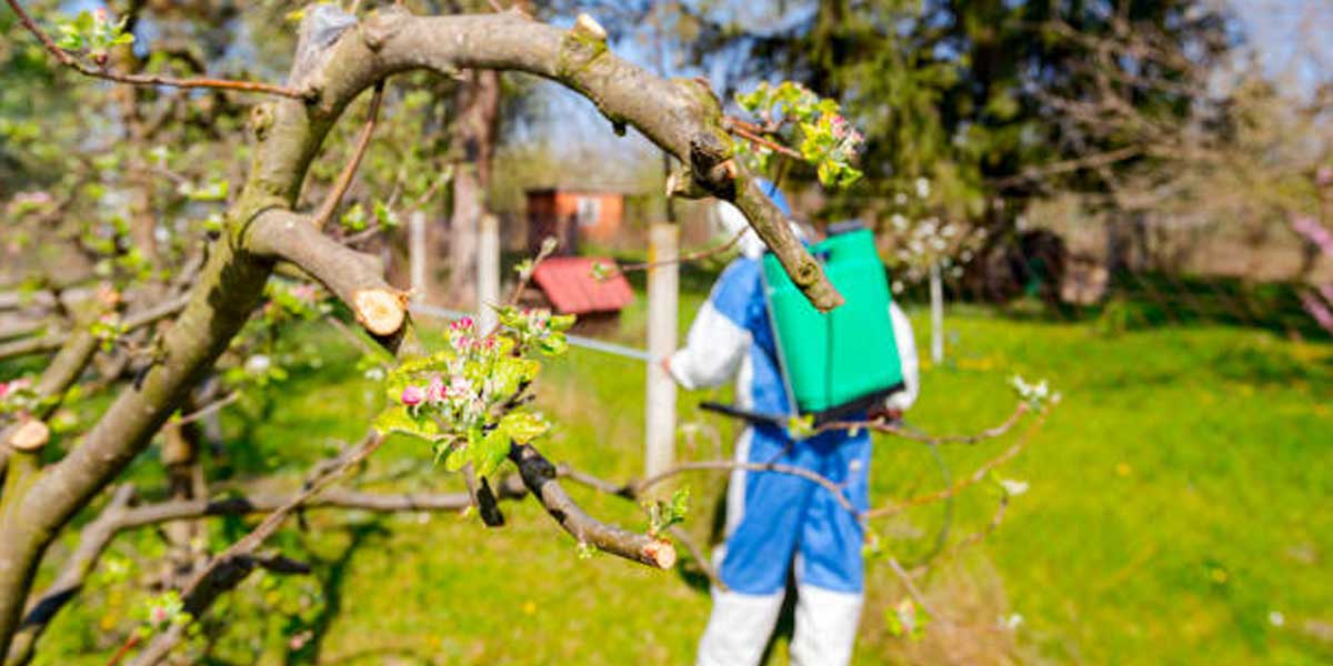 تقویم باغداری ماه به ماه