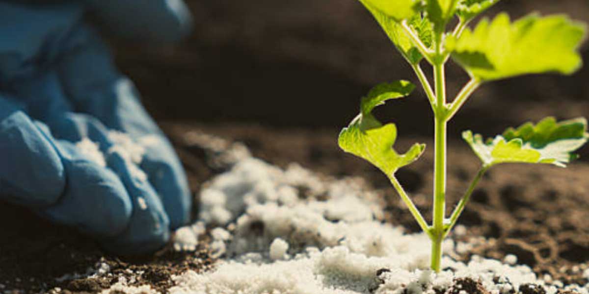 تقویم باغداری ماه به ماه