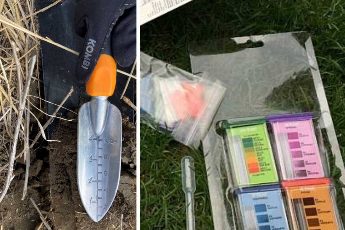 کوددهی بدون آزمایش خاک، مرگ خاموش درختان میوه