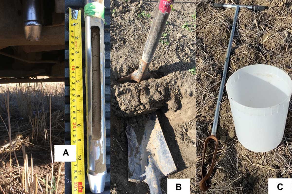 کوددهی بدون آزمایش خاک، مرگ خاموش درختان میوه