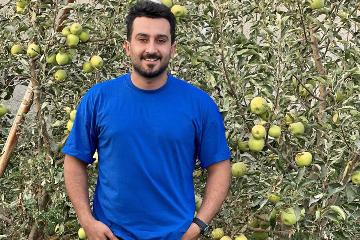 مقایسه انواع پایه‌های نهال، پایه بذری و پایه‌های رویشی