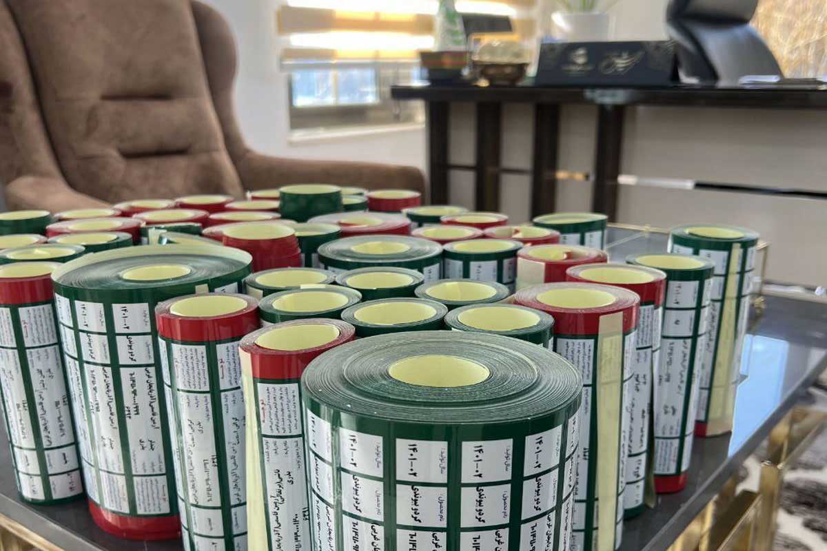 ۷ اشتباه رایج در خرید نهال که هزینه‌های باغدار را چند برابر می‌کند