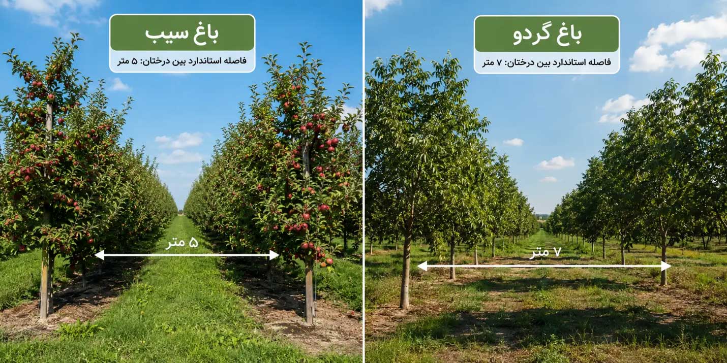 چند اصله نهال در یک هکتار کاشته می‌ شود؟