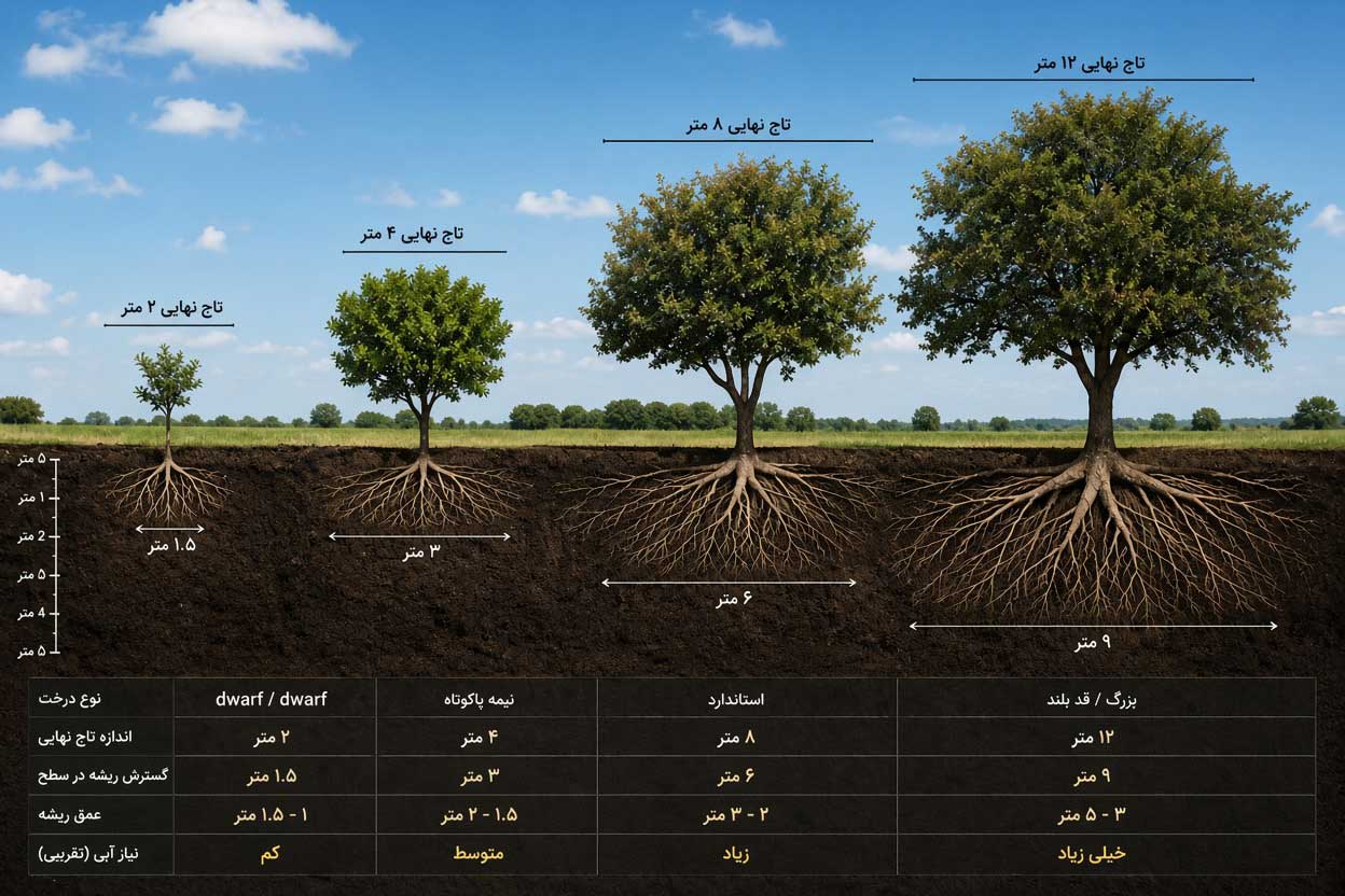 فاصله کاشت درختان میوه چقدر باید باشد؟ راهنمای انتخاب فاصله مناسب برای احداث باغ